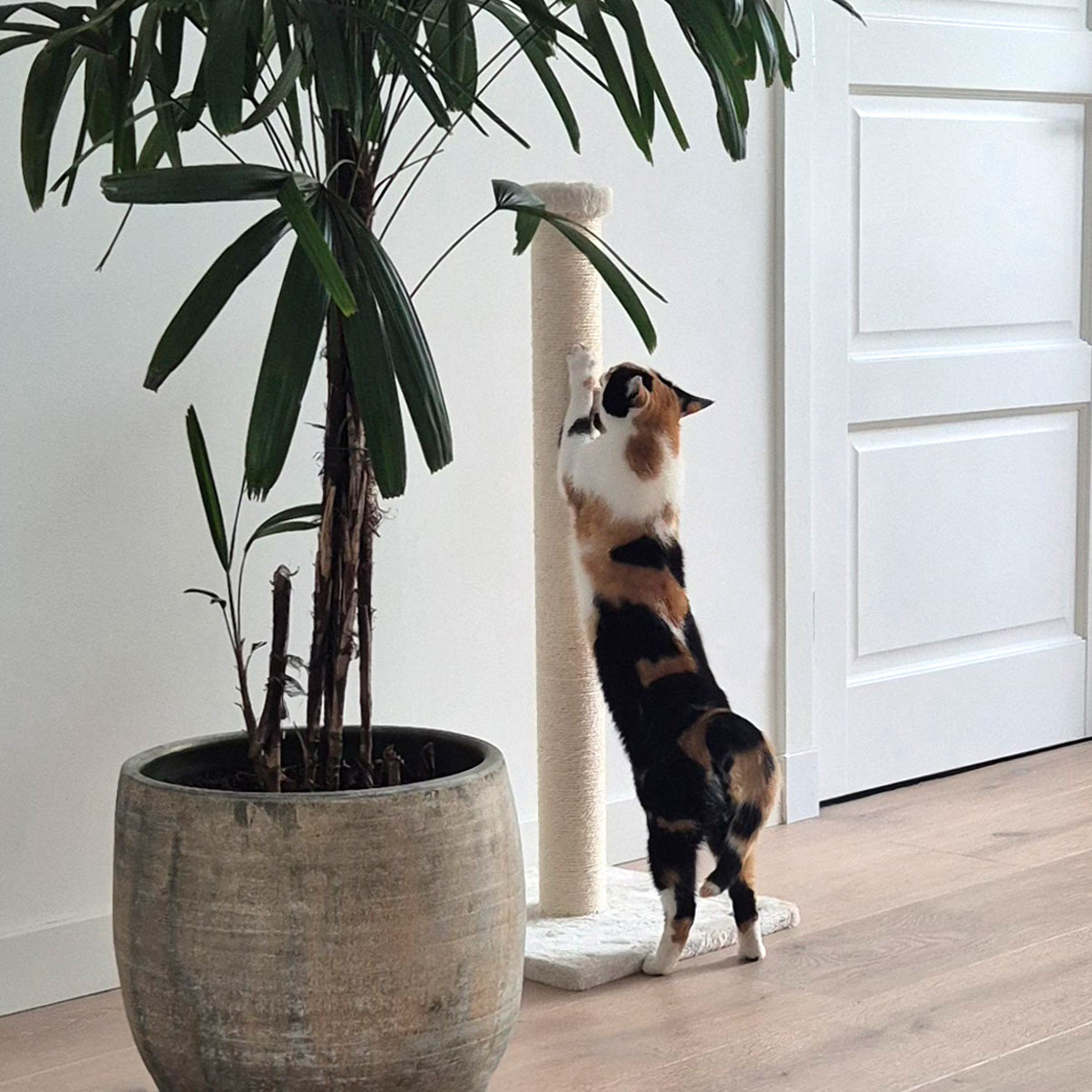 Krabpaal Flip naturel – Bascha | Extra hoog & stevig voor grote katten